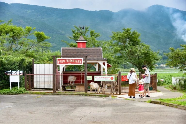 🐄 낙농왕국 오라체 이미지 5